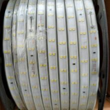 Đèn led dây Trắng / Vàng 120 Chip LED (không dây dẫn) 3038-25R-120D-12MM